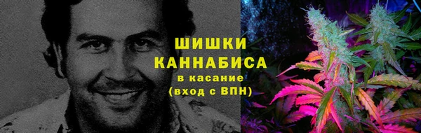 марихуана Коряжма