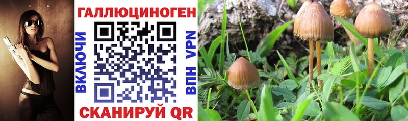наркотики  Похвистнево  Псилоцибиновые грибы Magic Shrooms 