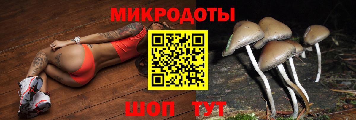 Похвистнево  Псилоцибиновые грибы GOLDEN TEACHER  Вход с VPN  Псилоцибиновые грибы мицелий 