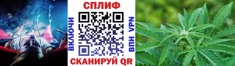 Конопля OG Kush  Похвистнево 